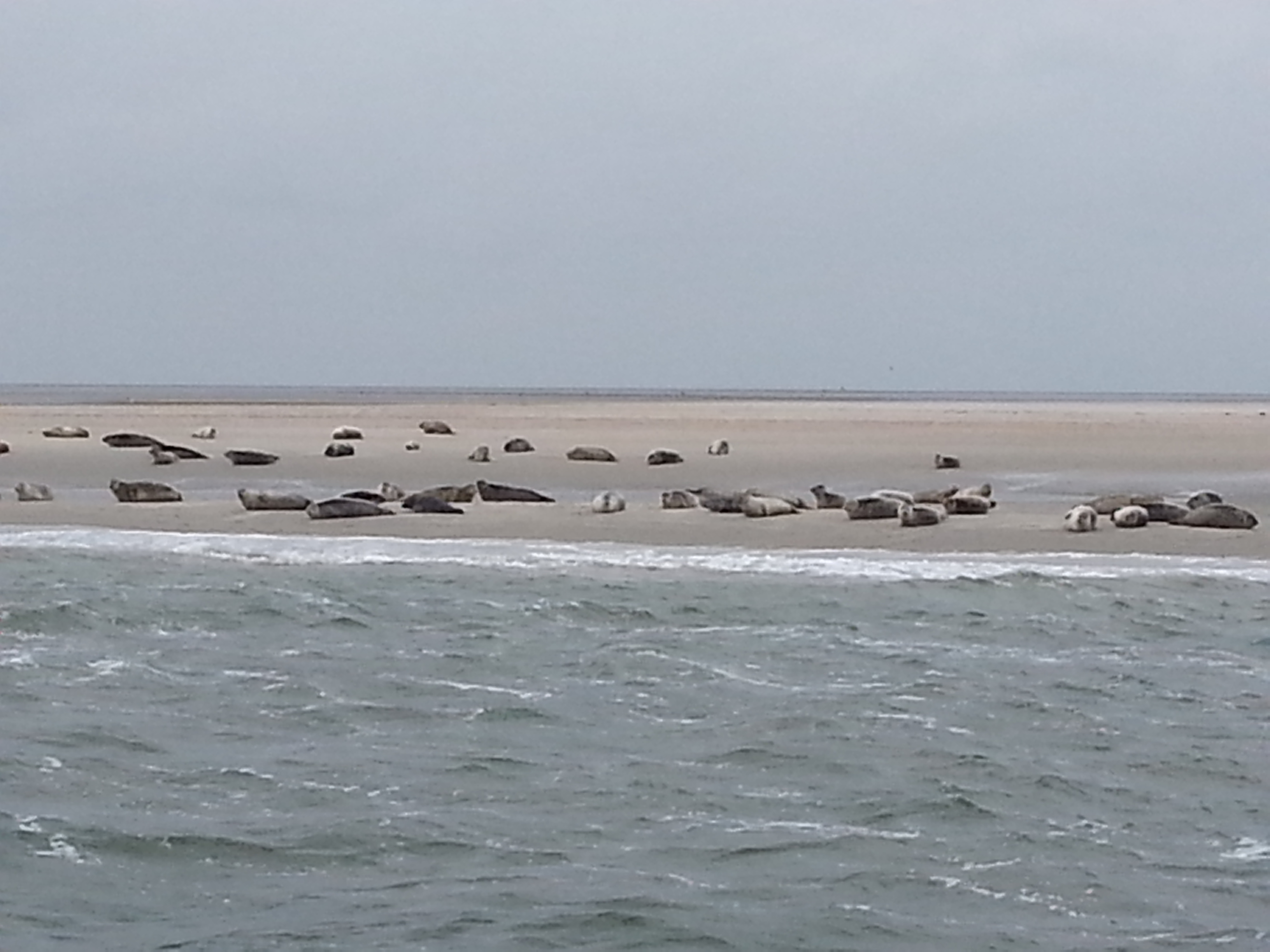 HWK Texel 110.jpg